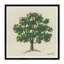 Oak Tree Print-2139906752