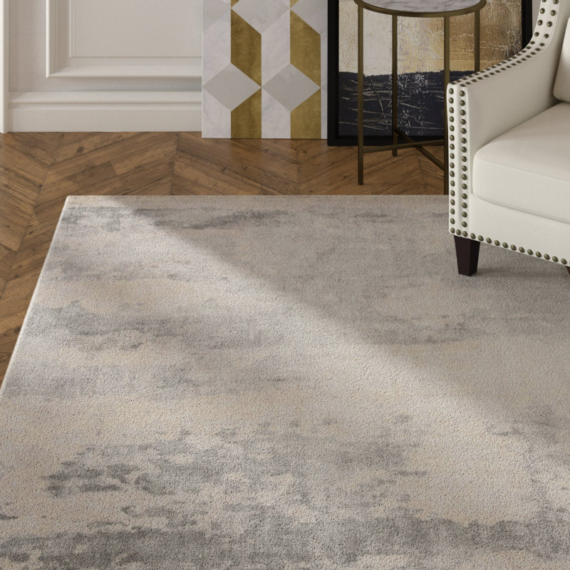 Tapis gris en viscose / coton tissé à la main Brianne, Rectangle 6 pi x 9 pi