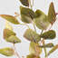 Branche d'eucalyptus artificiel Audet (1 tige)-640572624