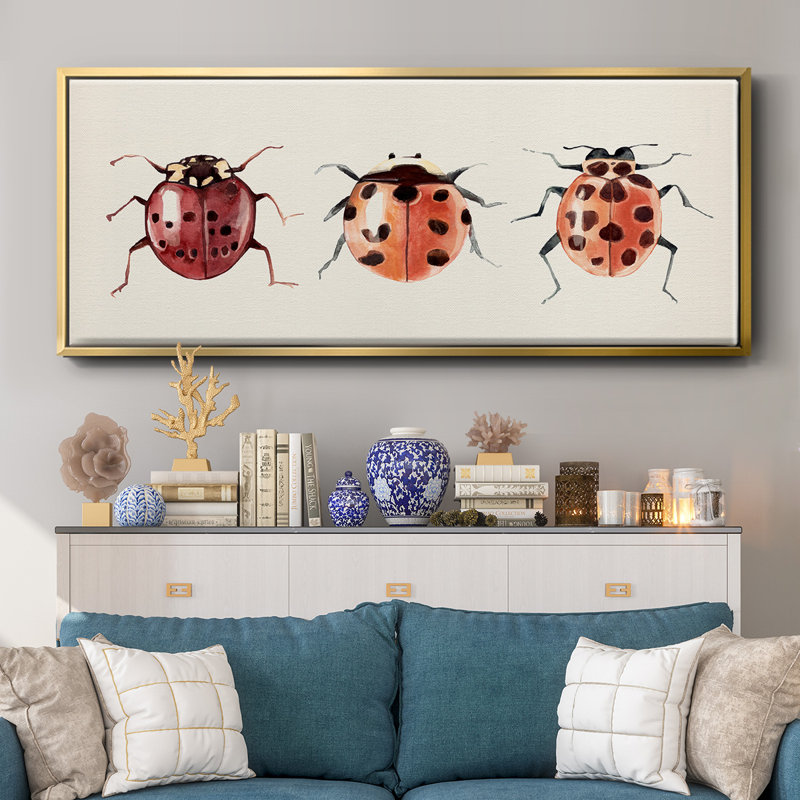 Coccinelle, H 20 po x l 50 po