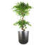 Coya Planters Handmade Pot Planter-110913202