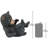 Roly-Poly Bear Cub Statue Rolling Bear