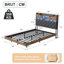 Upholstered Storage Bed-1081998653