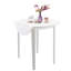 Mediouna Extendable Dining Table-16773233