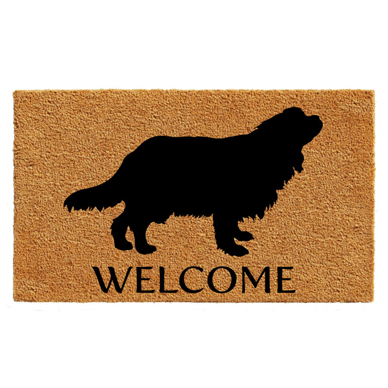 Tapis de porte pour l’extérieur antidérapant charles épagneul cavalier king Radele, L 0,6 po x l 29 po x P 17 po