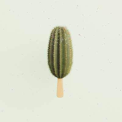 Cactus Ice Cream - Wrapped Canvas Print