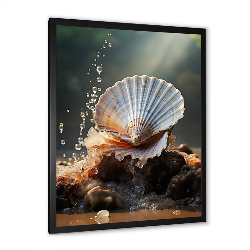 White Seashell Close Up II - Animals Canvas Art Print, H 40 po x l 30 po x P 1,5 po, Cadre photo noir