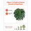 60cm Faux Fern Plant-1788137158-1788137153