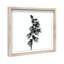 Ossified Petals II Shadowbox Floral & Botanical Print by Oliver Gal, Black Frame, 12 x 12-379226032-379226060