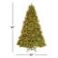 Grande Fir Medium Tree with Clear Lights-1534155277