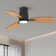 Emidia Flush Mount Ceiling Fan with LED Light for Medium Rooms
