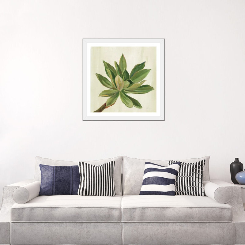 «Front Yard Succulent I» par Silvia Vassileva - reproduction d'art, Blanc, H 24 po x l 24 po x p 1 po, Papier encadré blanc
