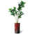 Granit rouge