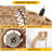 Rattan Wall Lamp
