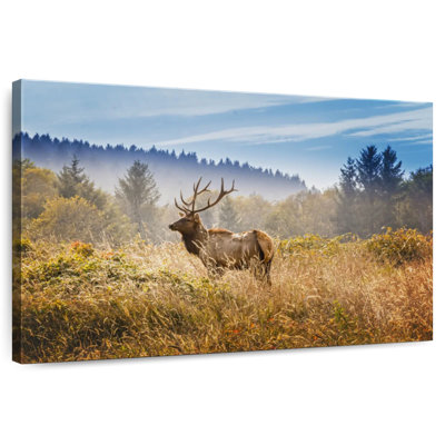 Deer In Yosemite Park