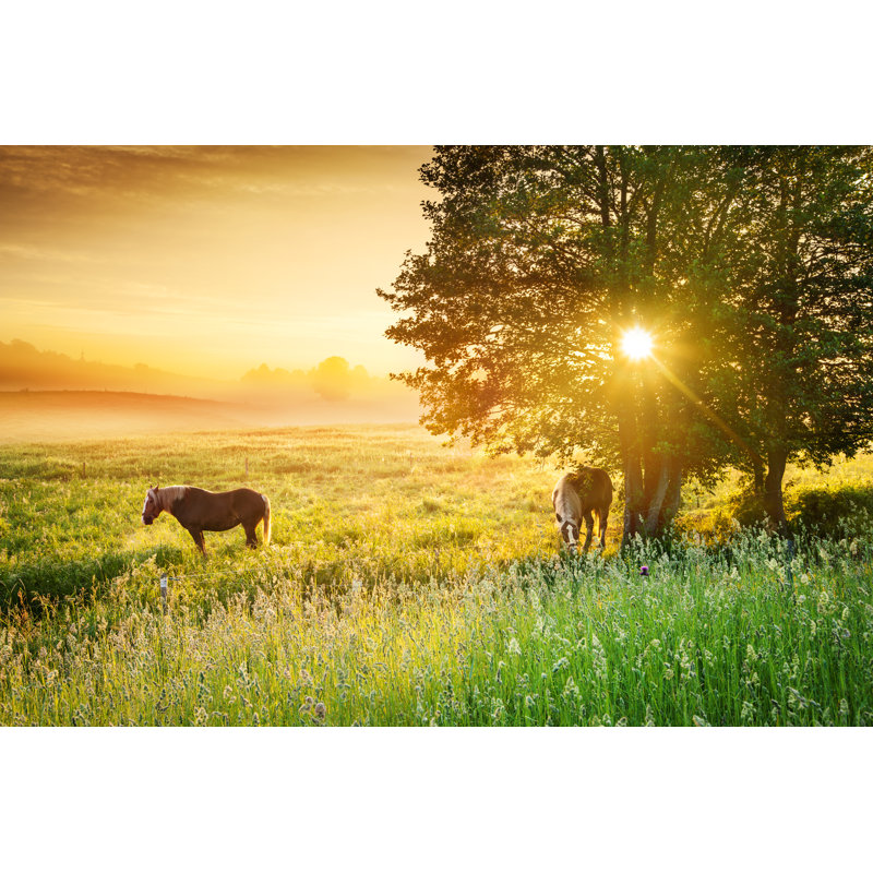 Farmland Landscape - Wrapped Canvas Print, 61cm H x 91cm W x 3.8cm D