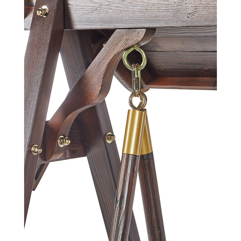 SENARICA 2 Person Porch Swing with Canopy