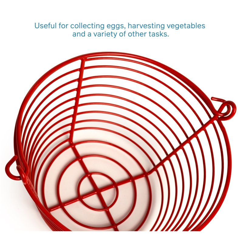 John Egg Cartons / Baskets