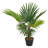 70cm Faux Palm Tree in Wood Pot-1842563787