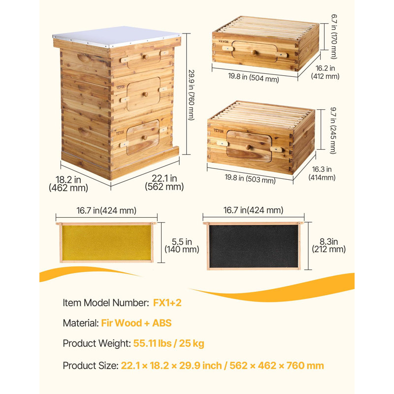 Trousse de démarrage Bee Hive, boîte en bois de cèdre naturel enduit de cire d'abeille, trousse de ruche Langstroth avec 10 cadres et fondations, fenêtres en acrylique transparentes pour débutants et apicoles