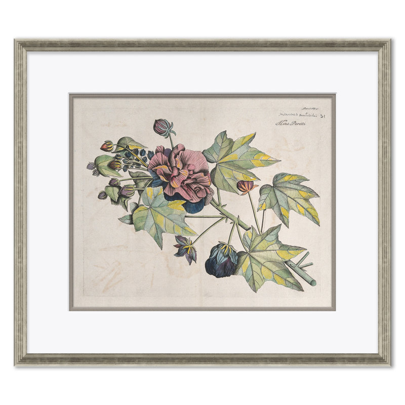 Malaberica (Colored) by Paul Cezanne - Picture Frame Painting Set on Paper