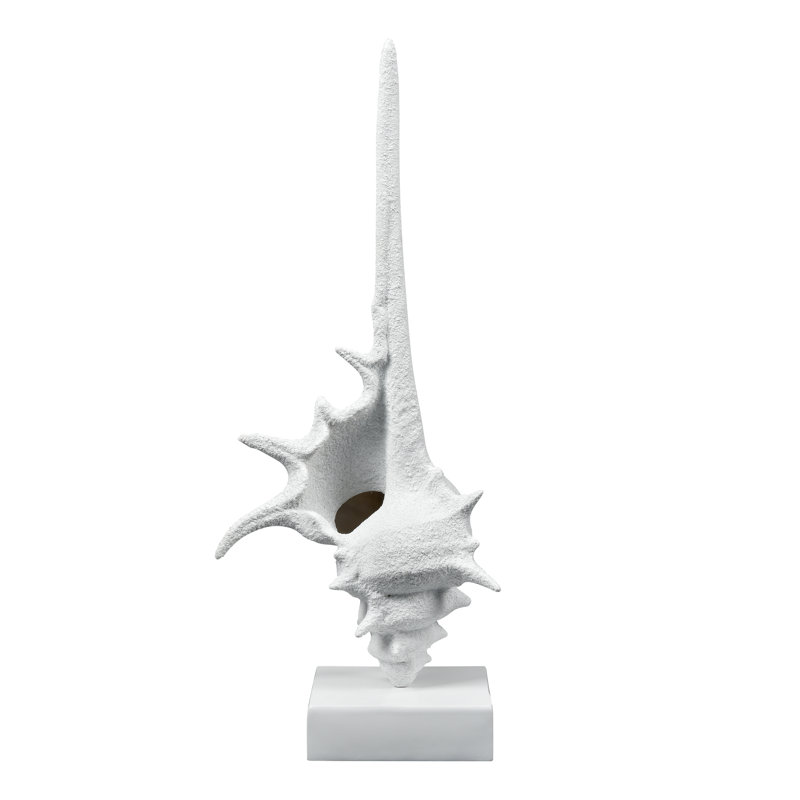 Coquille de Tigertail - blanc texturé