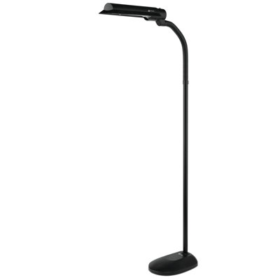 62'' Black LED Traditional Floor Lamp