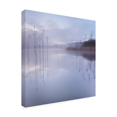 Bolog David Ahern  Foggy Lake Reflection Canvas Art