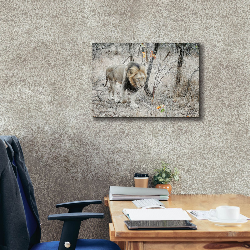 "Latitude Run" Lion "par Helene Sobol, art mural sur toile, H 18 po x l 26 po x P 0,75 po