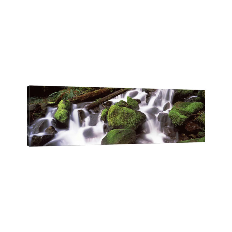 Cascading Waterfall In A Rainforest, Olympic National Park, Washington State, USA - Wrapped Canvas Panoramic Print