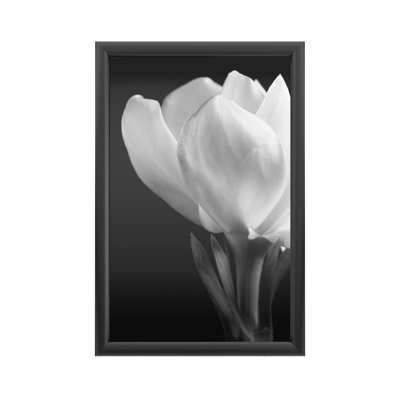 " Gardenia " by Michael Harrison