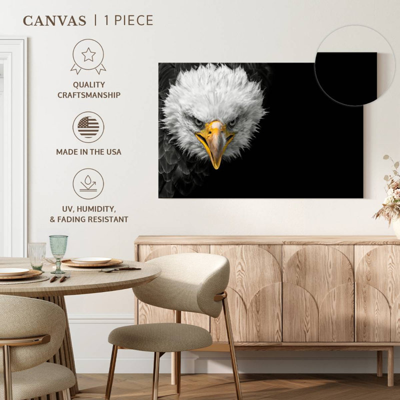 Crowle North American Bald Eagle