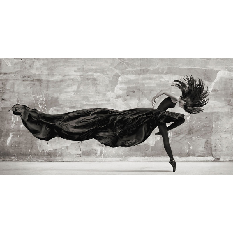 Black Swan by Julian Lauren - Wrapped Canvas Print, 35cm H x 70cm W x 4cm D