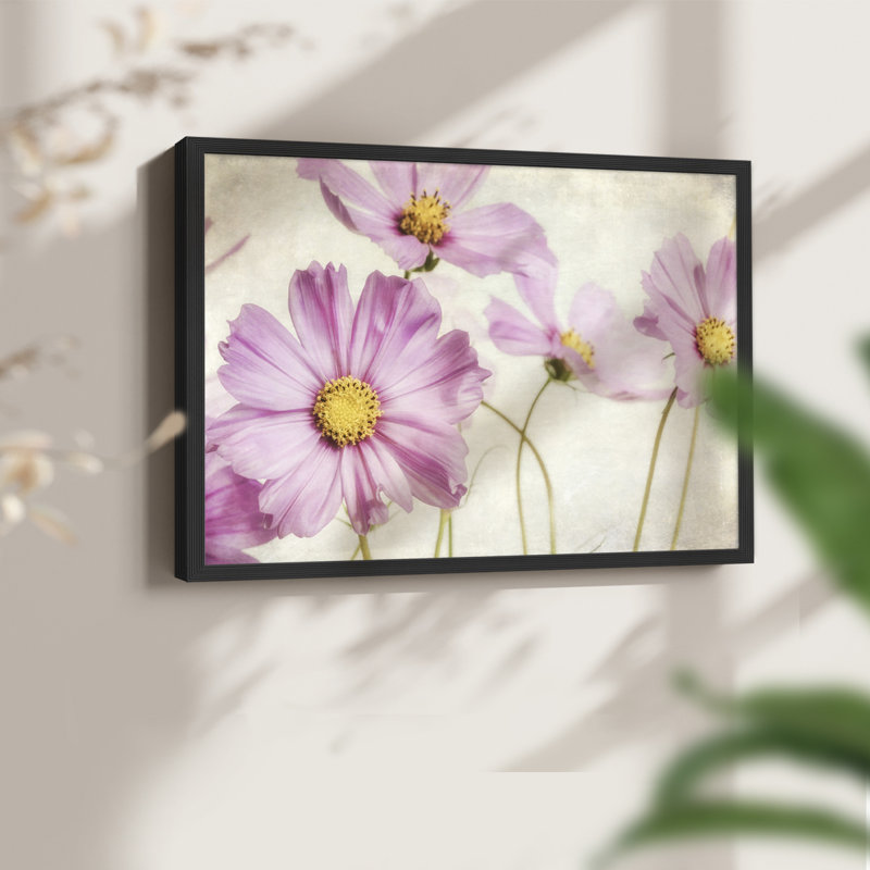 «Pink Cosmos I», reproduction encadrée, Noir, noir, noir, noir, H 16 po x l 20 po