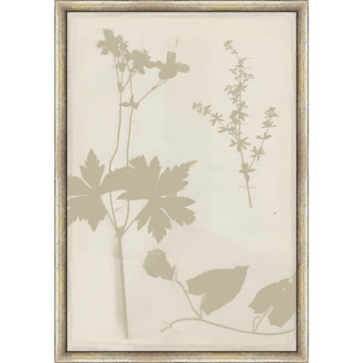 Art mural sur toile Martha Stewart Bedford, 13,5 po x 19,5 po, Shadow Botanical Study I, décor de salon et de chambre à coucher, encadré