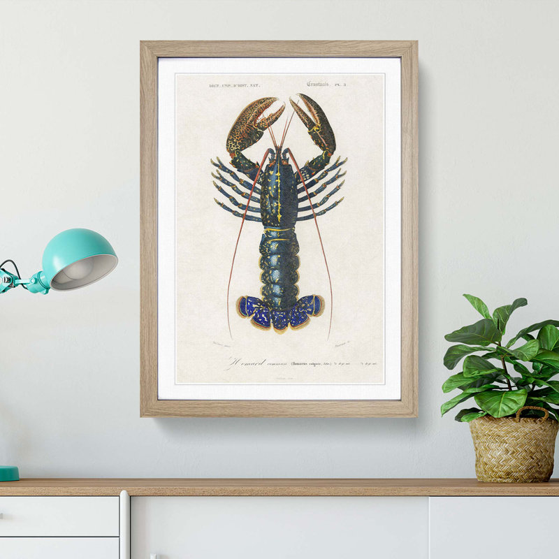 Crimson Crawfish by Charles D' Orbigny - Picture Frame Painting Print, Oak Framed, 36cm H x 27cm W x 2cm D