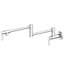 Stripling Wall Mount Pot Filler-300425776