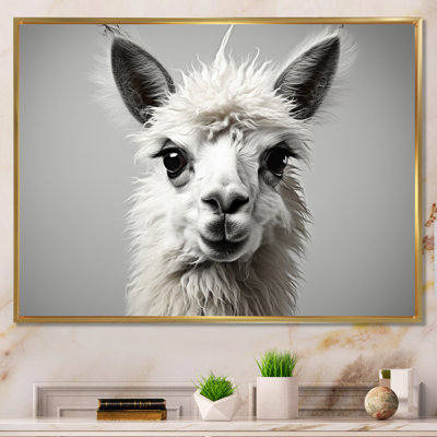 " Grey Llama Gentle Llama "