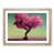 Oak Framed
