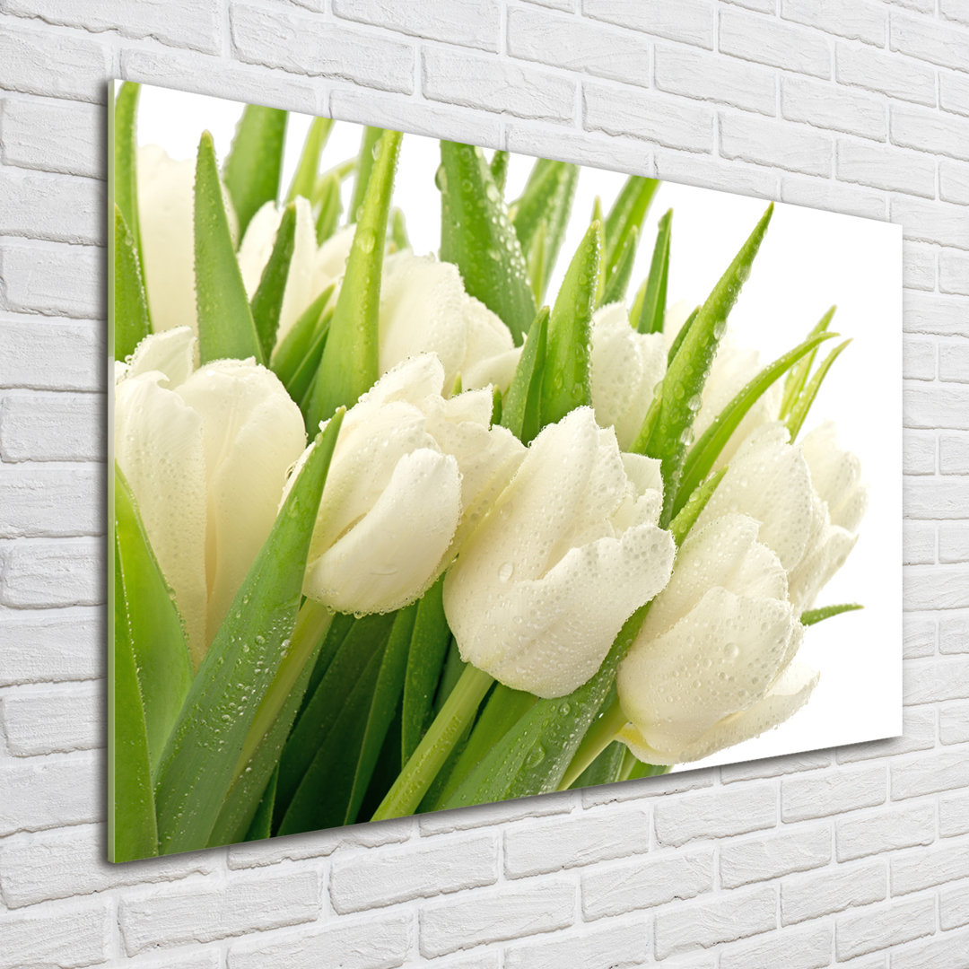 Glasbild White Tulips