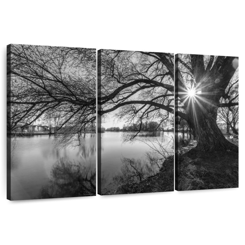 Harnek Sunlight Through Tree, 28" H x 45" W
