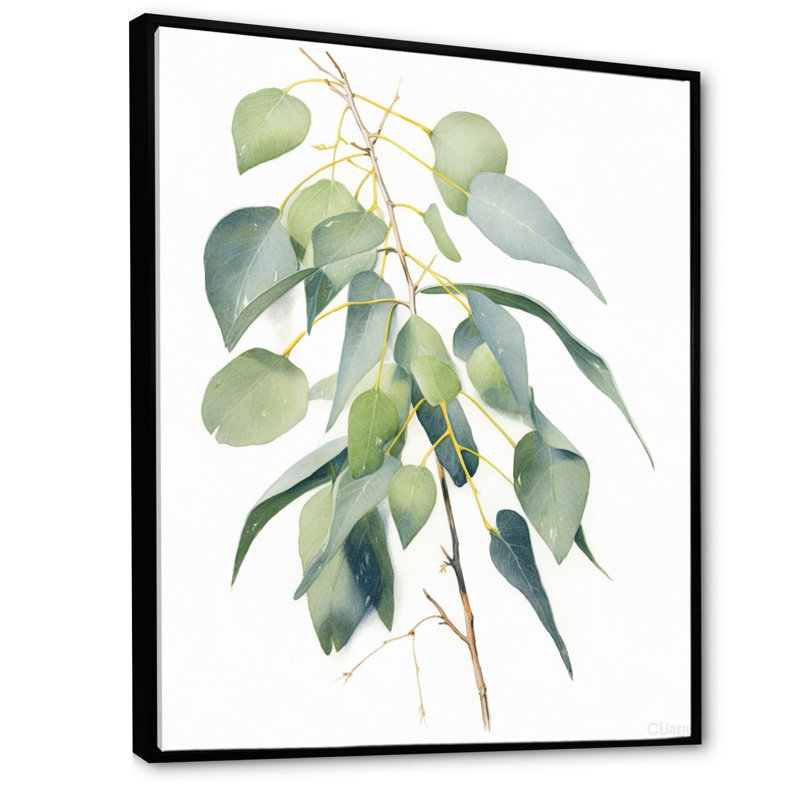 Vert, blanc, minimalisme, eucalyptus Essence I, H 20 po x l 12 po x P 1,5 po, Cadre flottant noir