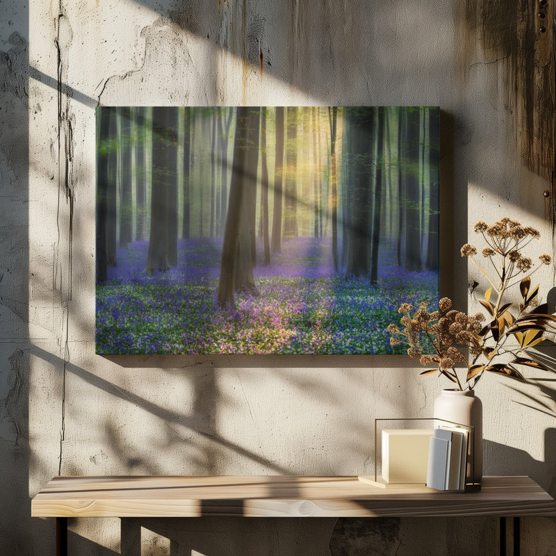 Wrapped Canvas Print, 50.8 cm H x 76.2 cm W