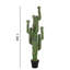 150cm Cactus Topiary in Pot