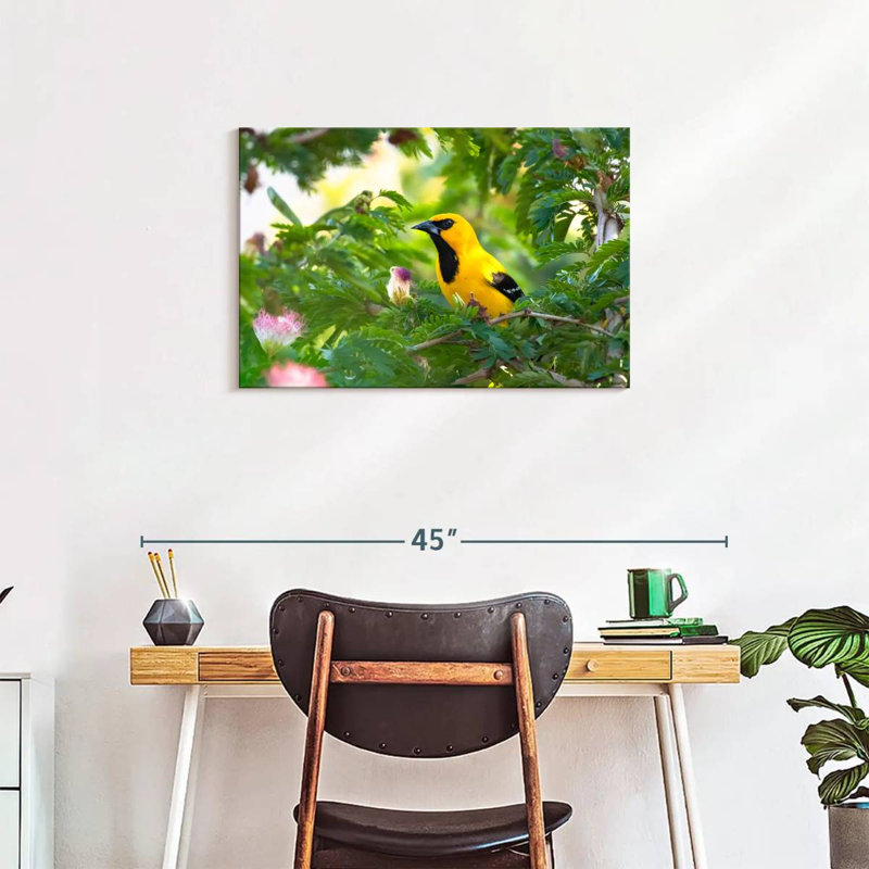 Crowle Oriole Songbirds, 20" H x 30" W