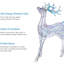 Cerf lumineux