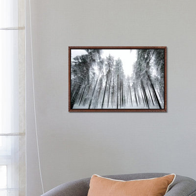 Trees In Motion by Andreas Stridsberg - Gallery-Wrapped Canvas Giclée on Canvas