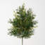 35" Draping Fern Frond Spray; Green