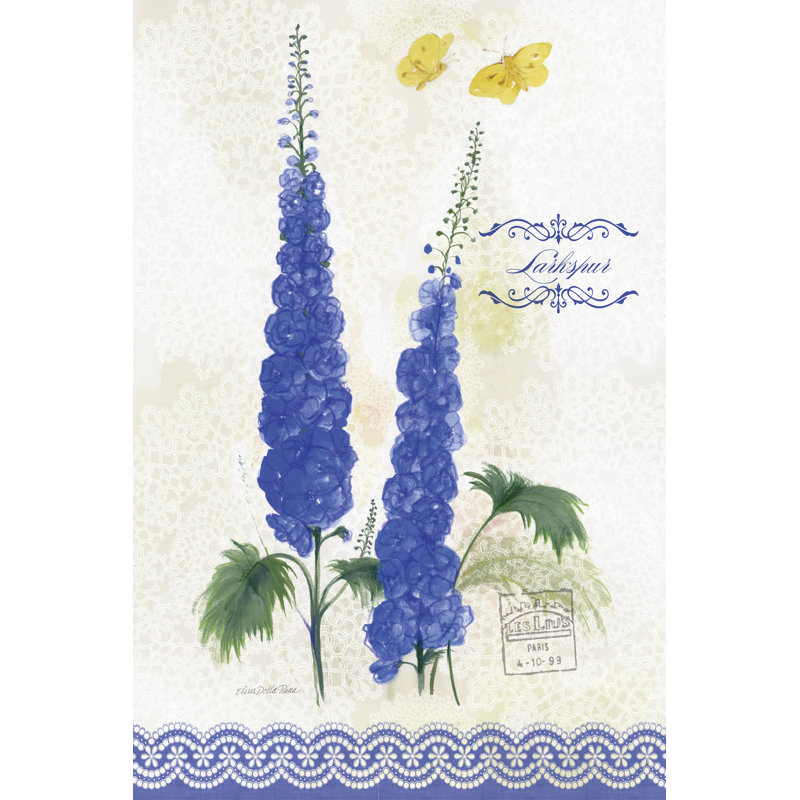 Flower Study On Lace VIII by Elissa Della-Piana - Wrapped Canvas Print, 122cm H x 81cm W x 3.8cm D
