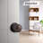 2.1'' Diameter Passage (Hall & Closet) Oil Rubbed Bronze Round Knob